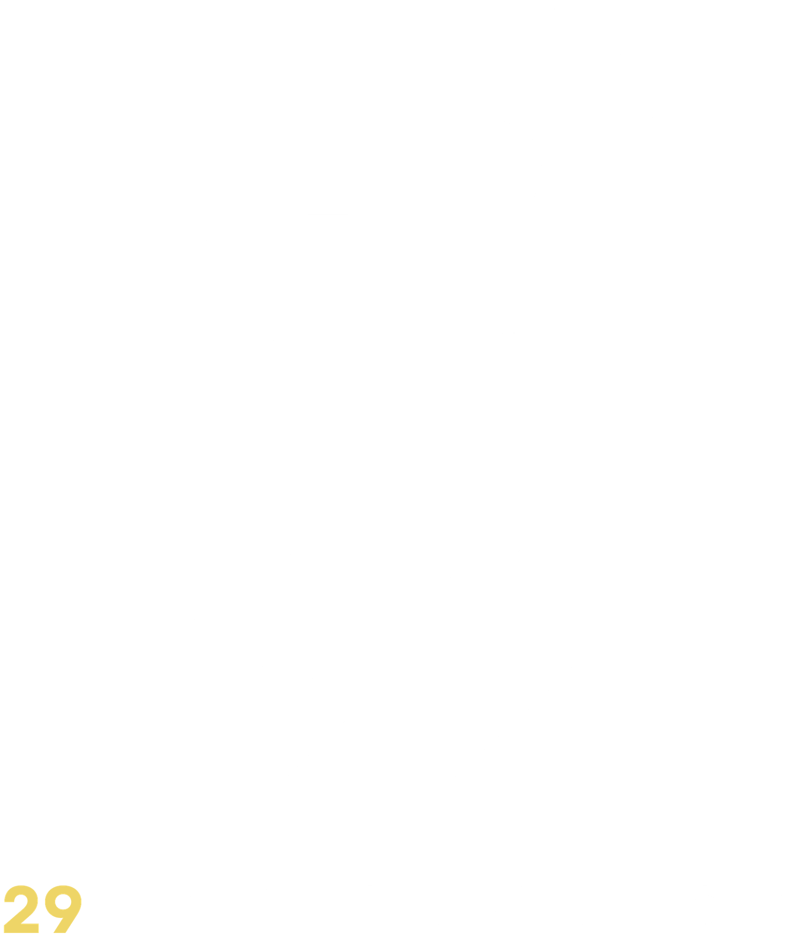 29 Performance